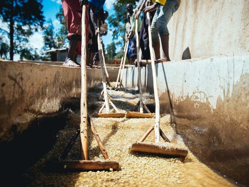 Ethiopia-イディド